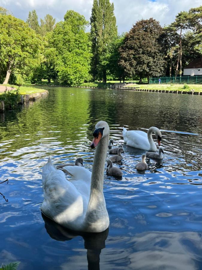Beddington Park East Гостевой дом